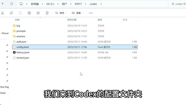 Codex 配置文件结构