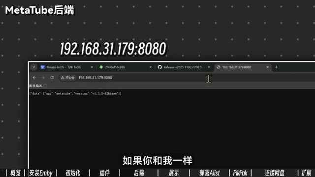 MetaTube 后端运行状态